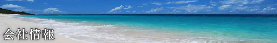 会社情報