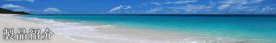 製品紹介